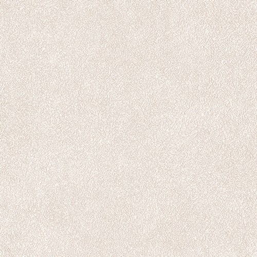 Bestie 2025 - BW Collection ลายมินิมอล