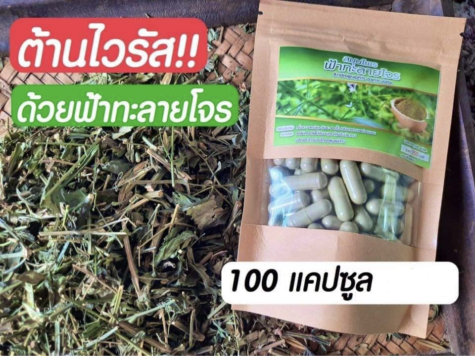 รวม มี4รายการ ตรา สมุนไพรภูฟ้า สมุนไพรไร่กอเงิน & ฟ้าทะลายโจร & ชาถั่วดาวอินคา & ถั่วดาวอินคาอบแห้ง บ้านภูฟ้า ภูฟ้า