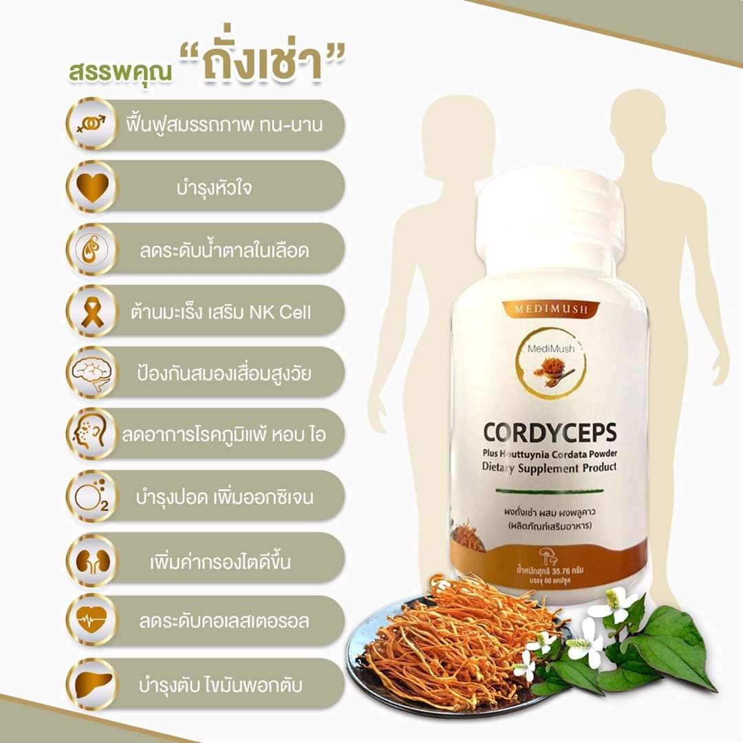 (2กระปุก) cordy ceps คอร์ดี้เชป ถั่วเช่า ผสม พลูคาว cordyceps med mush medimush