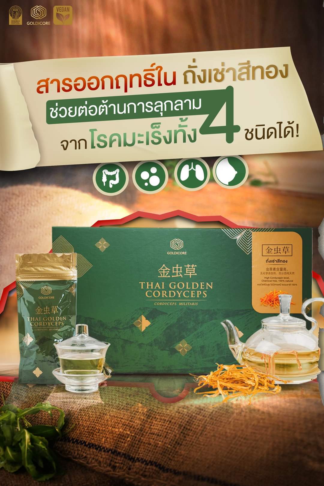 ถั่งเช่าสีทอง goldicore บำรุงสุขภาพ ถั่งเช่า