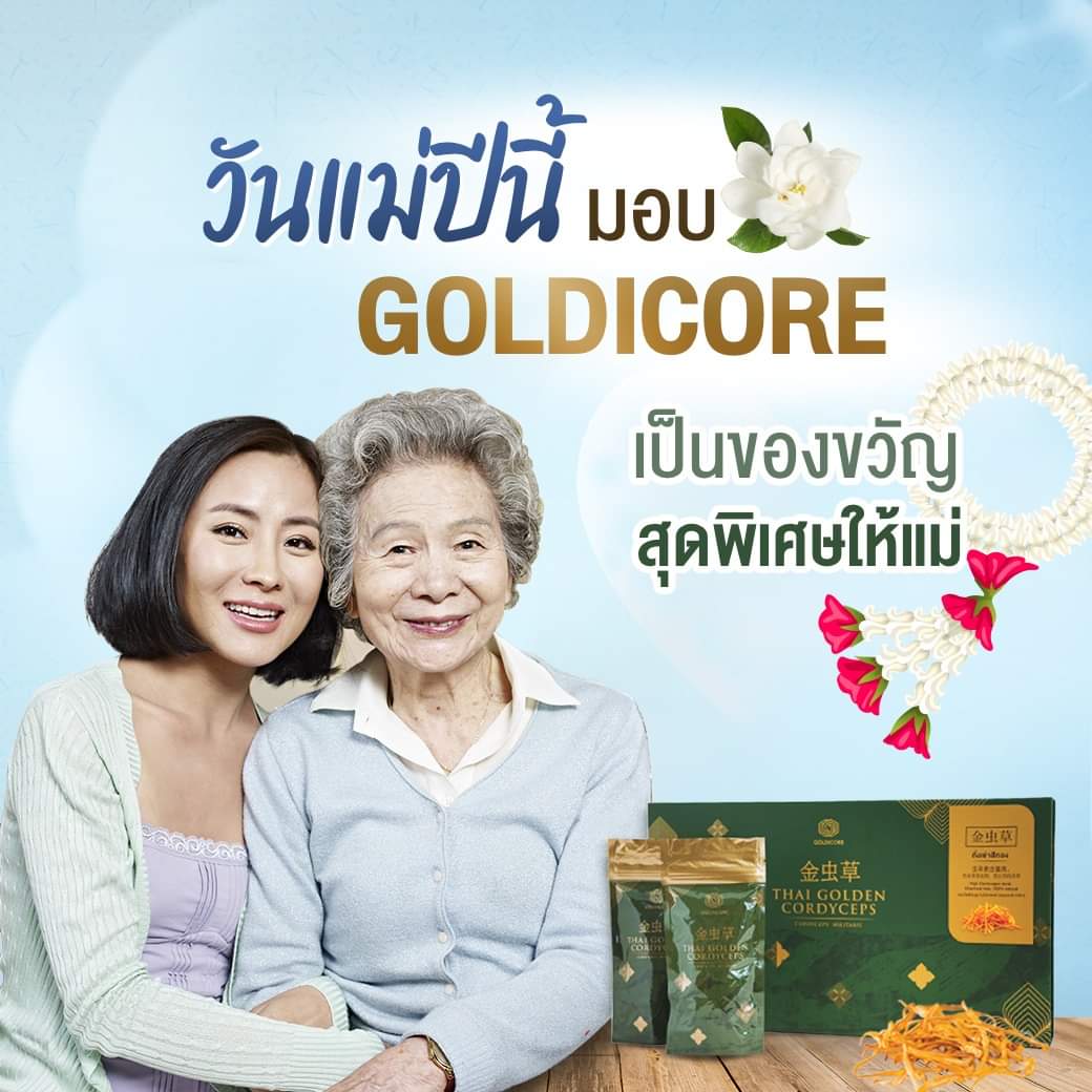 ถั่งเช่าสีทอง goldicore บำรุงสุขภาพ ถั่งเช่า