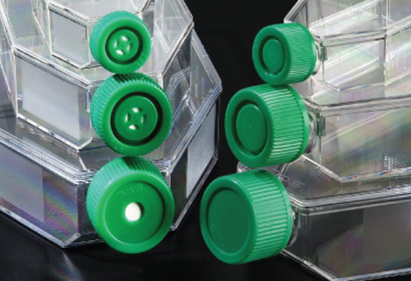 ฟาสก์เพาะเลี้ยงเชื้อ Sterile Cell Culture Flask PS with Surfcae treat, SPL Brand