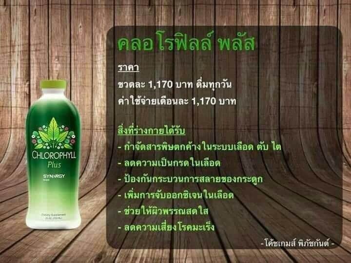 คลอโรฟิลล์ พลัส เข้มข้นได้รับรางวัลโนเบล chlorophyll plus syn - rgy