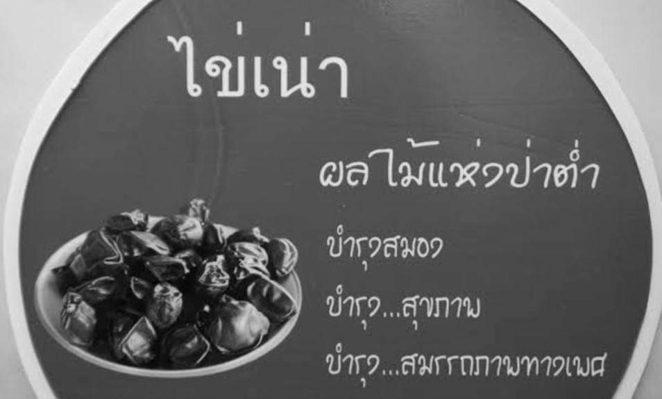 (2ต้น) ต้น ไข่เน่า ต้นไข่เน่า ไม้ สมุนไพร happy