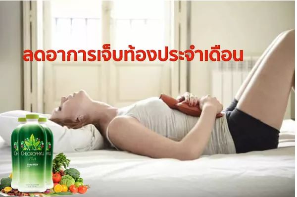 คลอโรฟิลล์ พลัส เข้มข้นได้รับรางวัลโนเบล chlorophyll plus syn - rgy