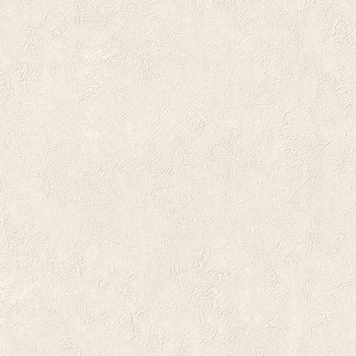 Bestie 2025 - BW Collection ลายมินิมอล