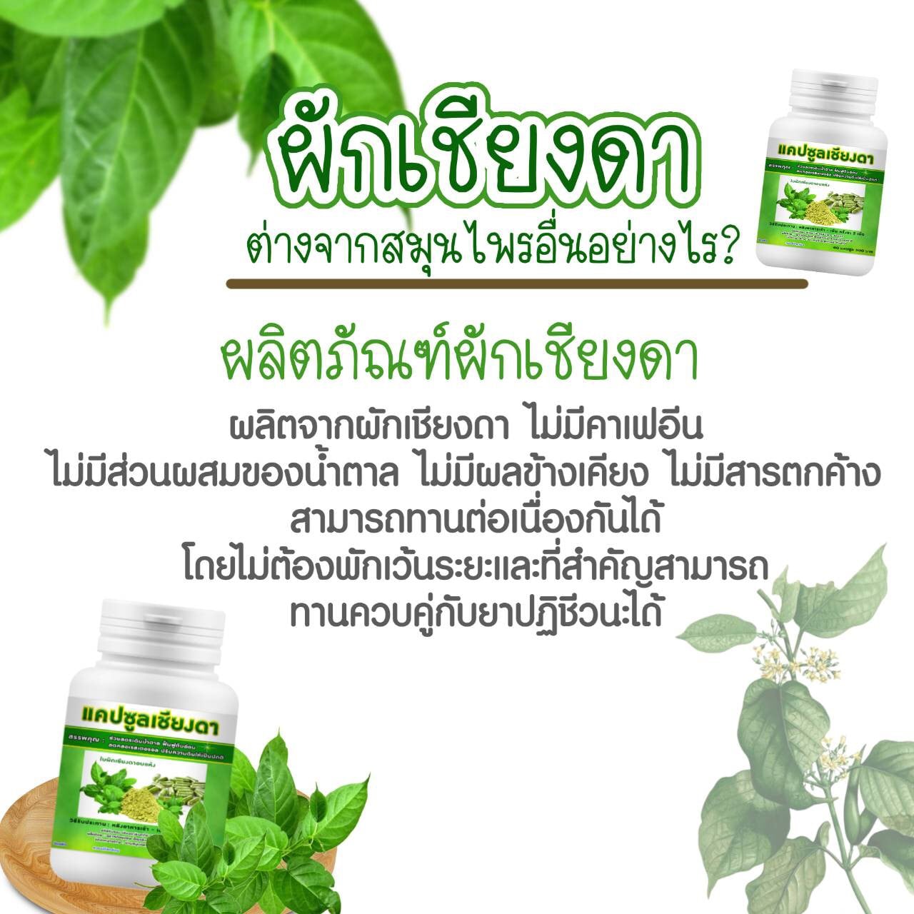 เครื่องดื่ม ชาผักเชียงดา ผักเชียงดา ชนิดผง และ แคปซูล ผสมเตยหอม ตรา รักษ์เฮิร์บ Rak Herb Gymnema mixed Pandanus Beverage powder Organic ออแกนิค