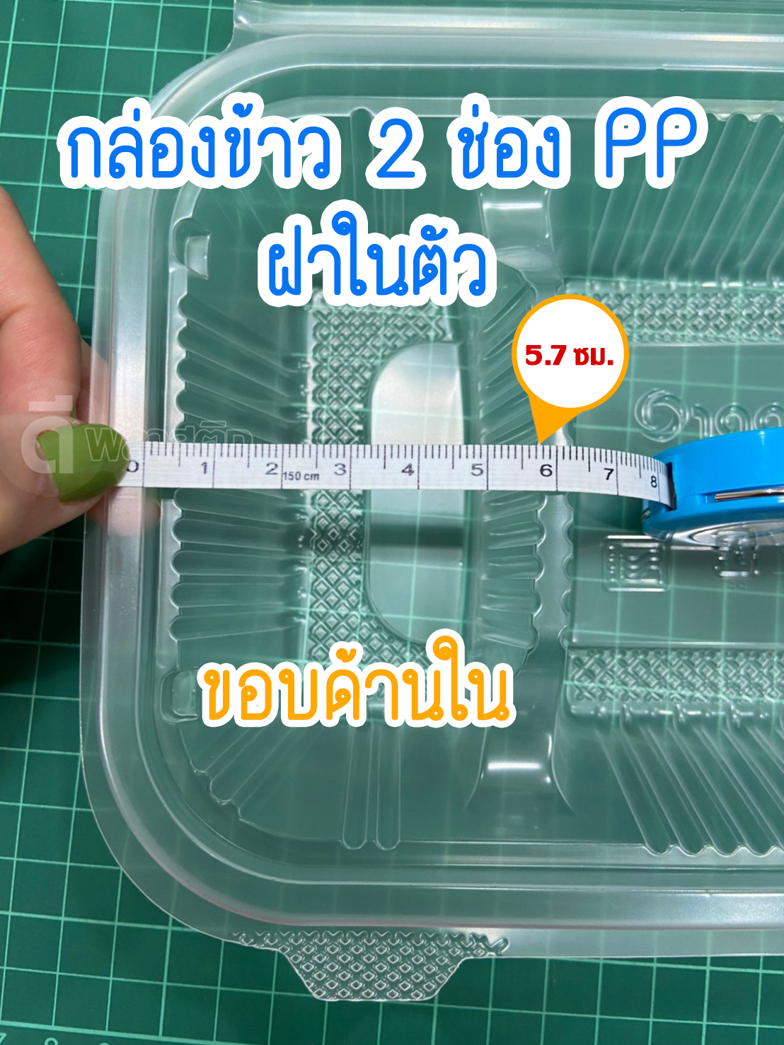 กล่องข้าว PP ฝาติด