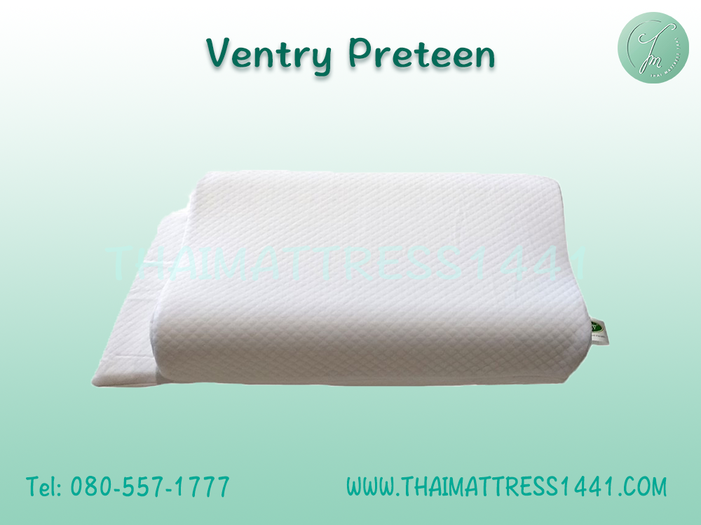 หมอนยางพารา Ventry Preteen พร้อมปลอกหมอน