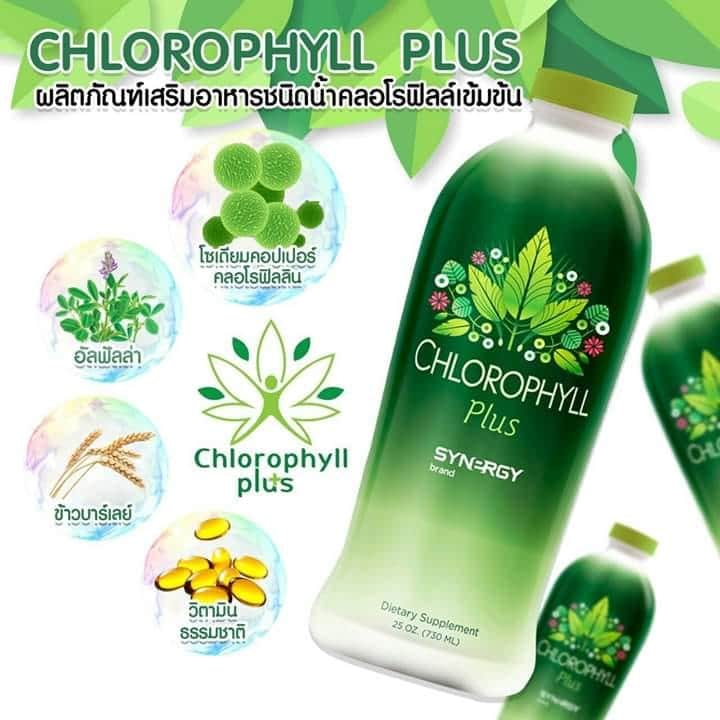 คลอโรฟิลล์ พลัส เข้มข้นได้รับรางวัลโนเบล chlorophyll plus syn - rgy