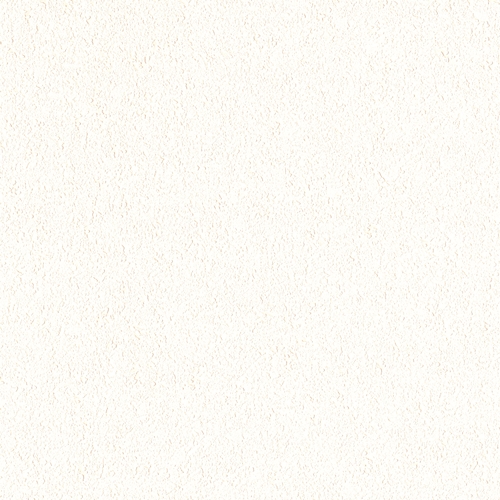 Bestie 2025 - BW Collection ลายมินิมอล