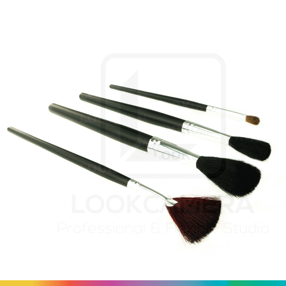 FUR BRUSH แปรงขนสัตว์ ทำความสะอาด