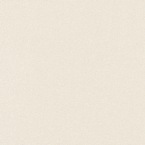 Bestie 2025 - BW Collection ลายมินิมอล