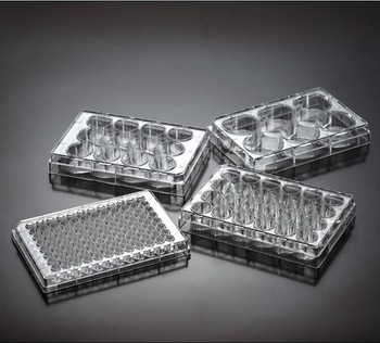 Tissue culture 48 well flat shape bottom-sterile with TC Treated (100ea/pkg)
