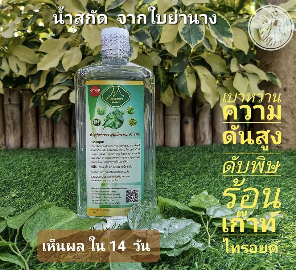สินค้า แบนด์ เรือนปั้นหยา สมุนไพร น้ำย่านาง น้ำใบย่านาง สกัดเย็น น้ำย่านางสกัดเย็น Cold pressed Yanang juice