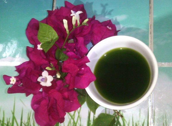 Tsd 0012 : ชาเขียว กลิ่นมะลิ