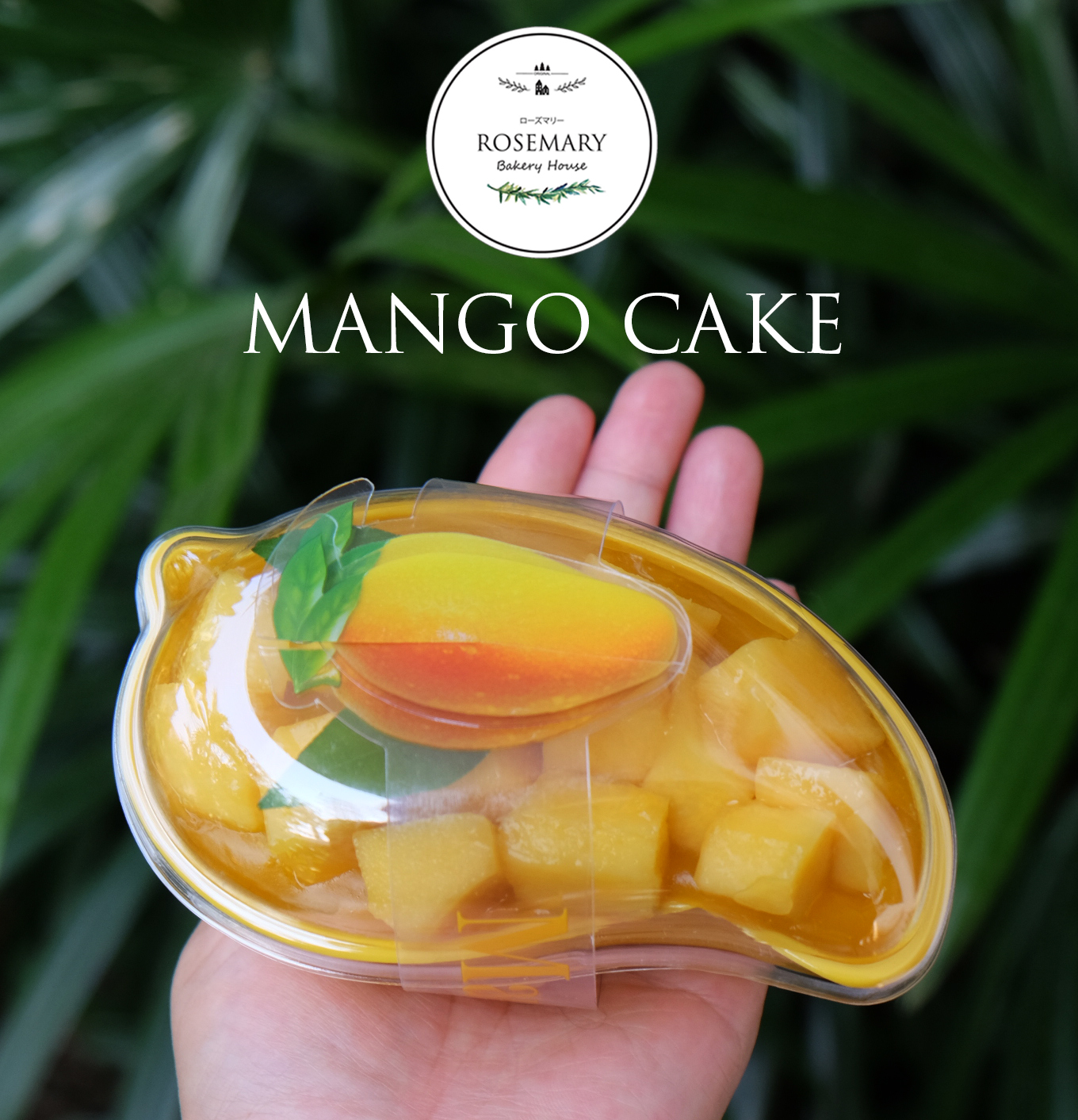 🥭🥭เค้กลูกมะม่วง Mango Cake 🥭🥭 (สั่ง 2 กล่อง ถูกกว่า)