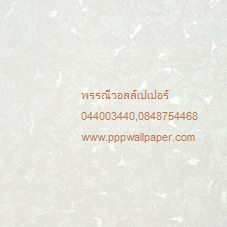 วอลล์เปเปอร์ติดผนังสไตล์โมเดิร์น