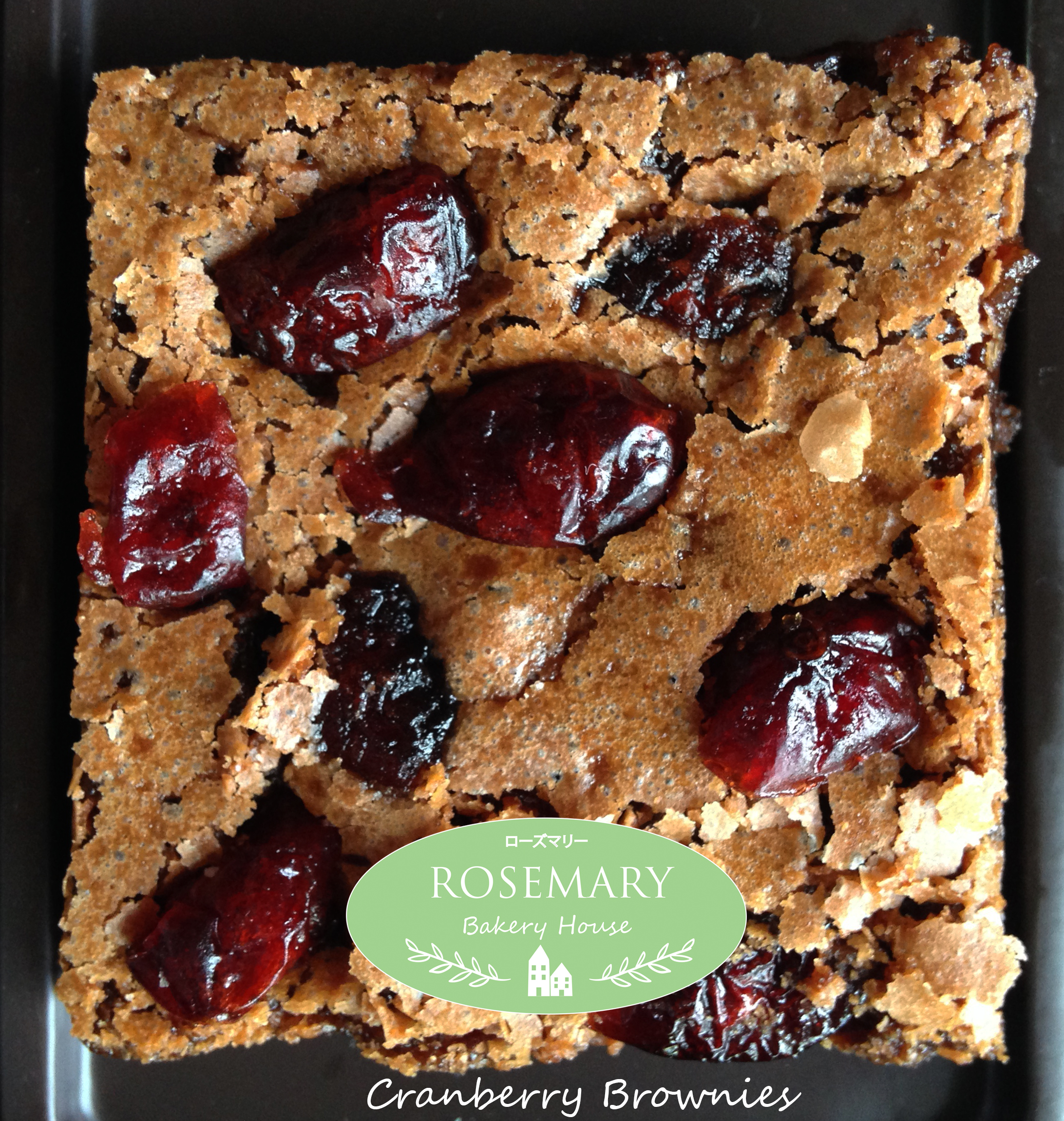 บราวนี่ส์แครนเบอร์รี Cranberry Brownies (ขนาด 6 x 6 cm.)