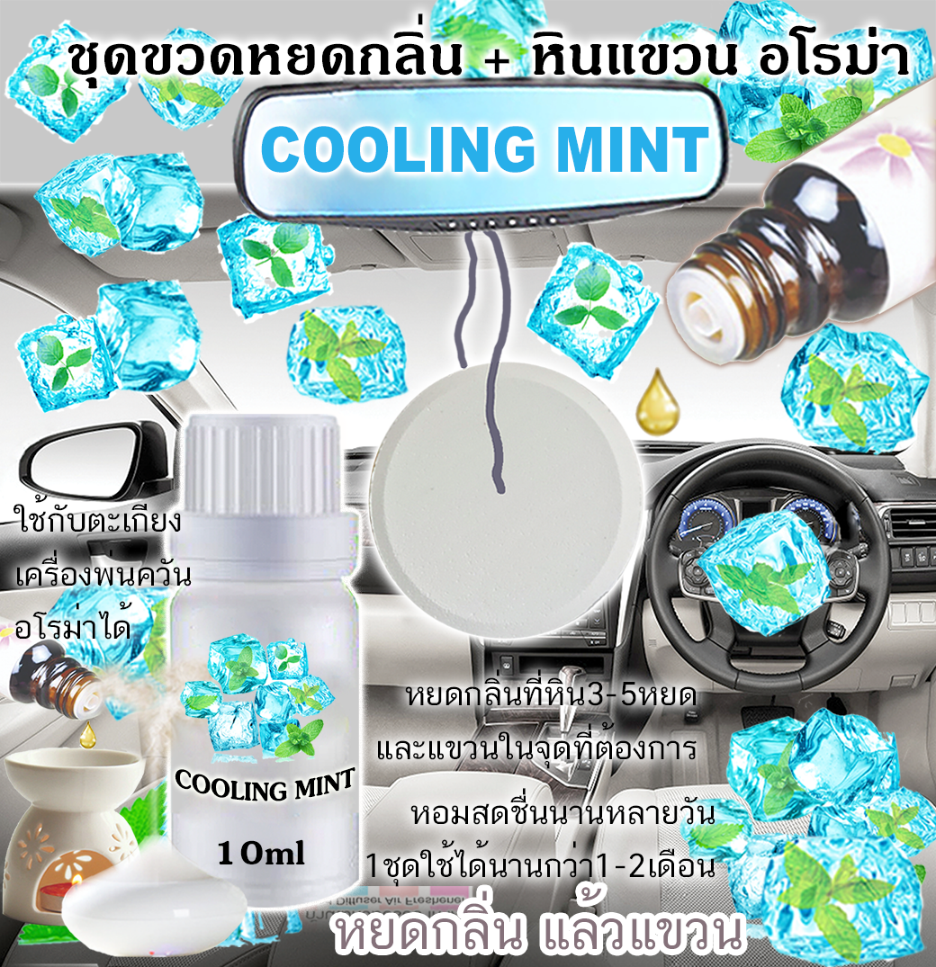 หินแขวน + ขวดหยด 10ml COOLING MINT