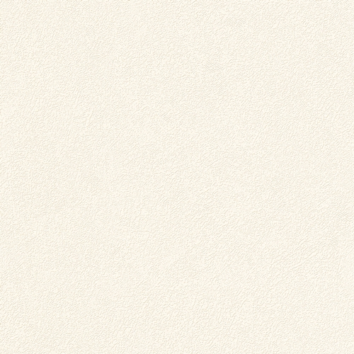 Bestie 2025 - BW Collection ลายมินิมอล