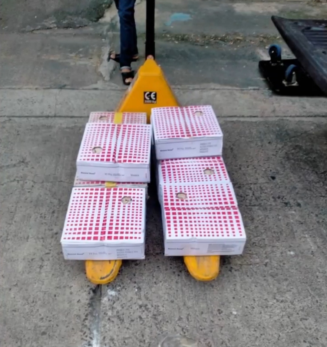 Italian Mosaic Cappuccino