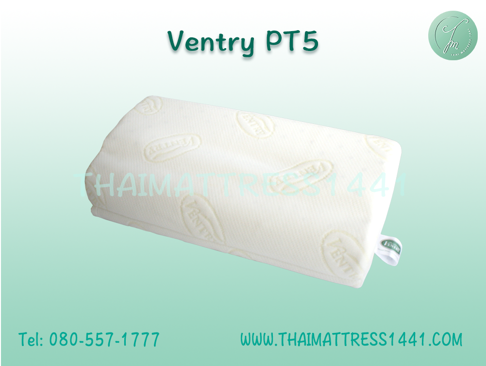 หมอนยางพารา Ventry PT5