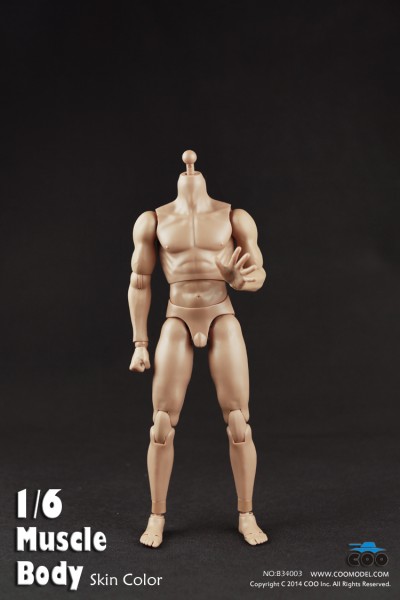 COOMODEL B34003 Muscle male Body