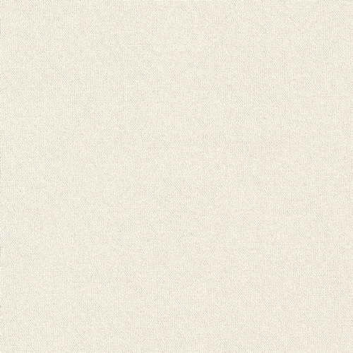 Bestie 2025 - BW Collection ลายมินิมอล