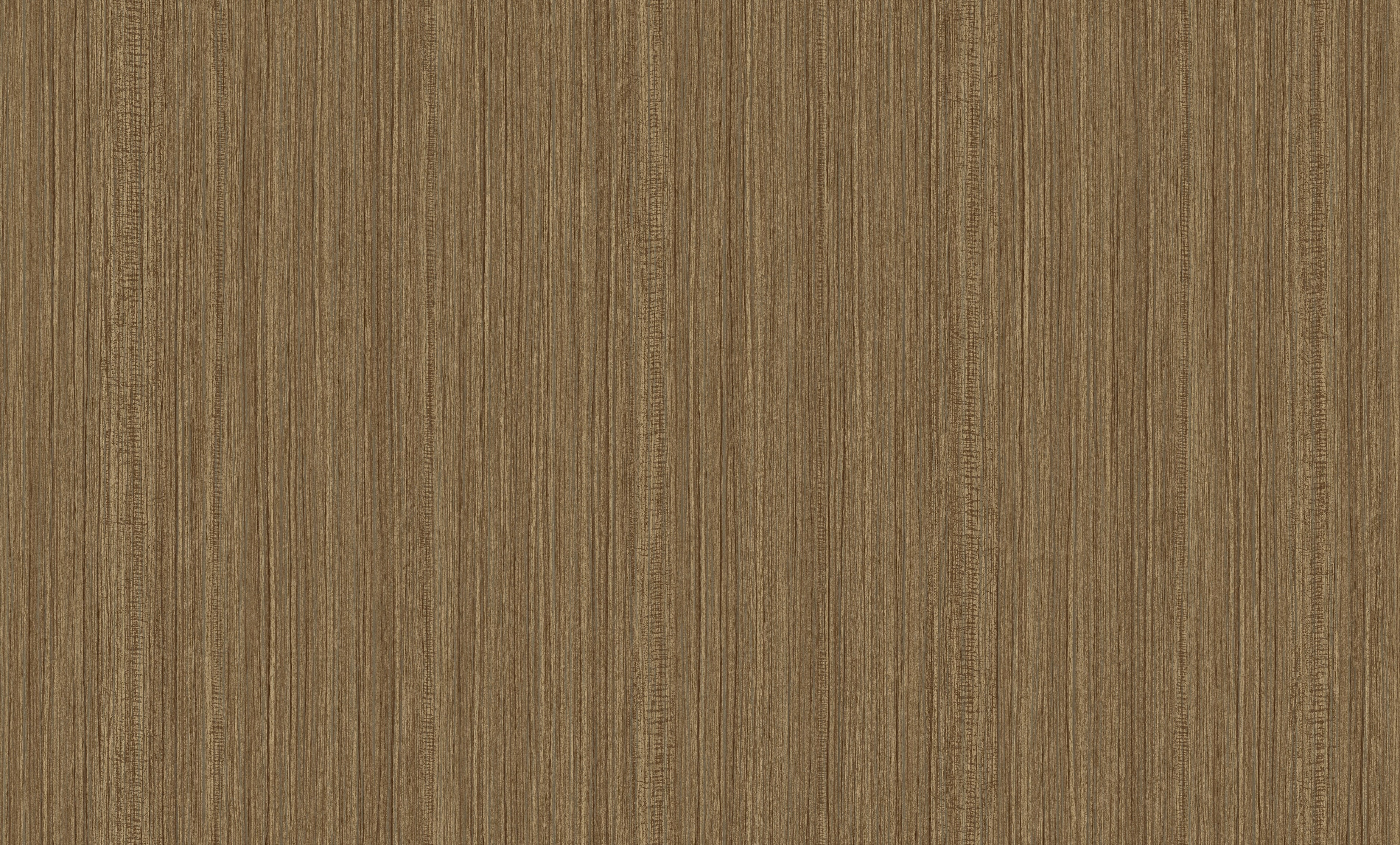 The View - BW Collection ลายมินิมอล