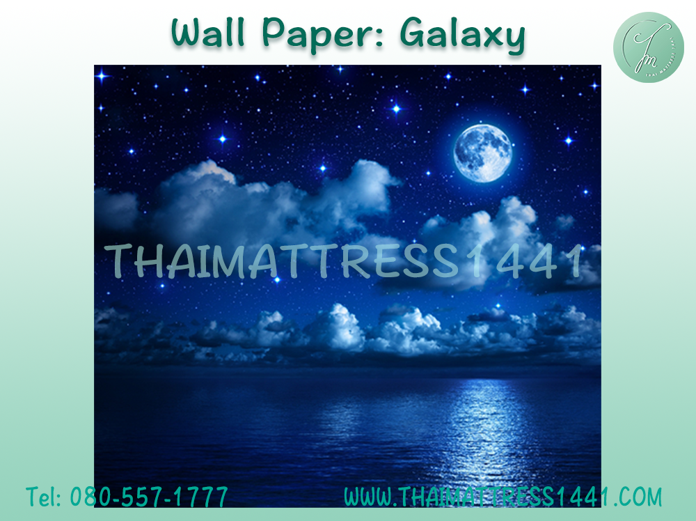 วอลเปปอร์ภาพพิมพ์ Digital Printing Wall Paper