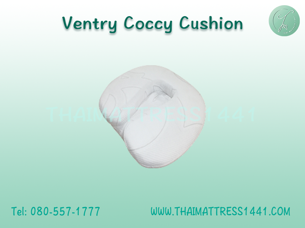 เบาะรองก้นกบ ยางพารา Ventry Coccy Cushion