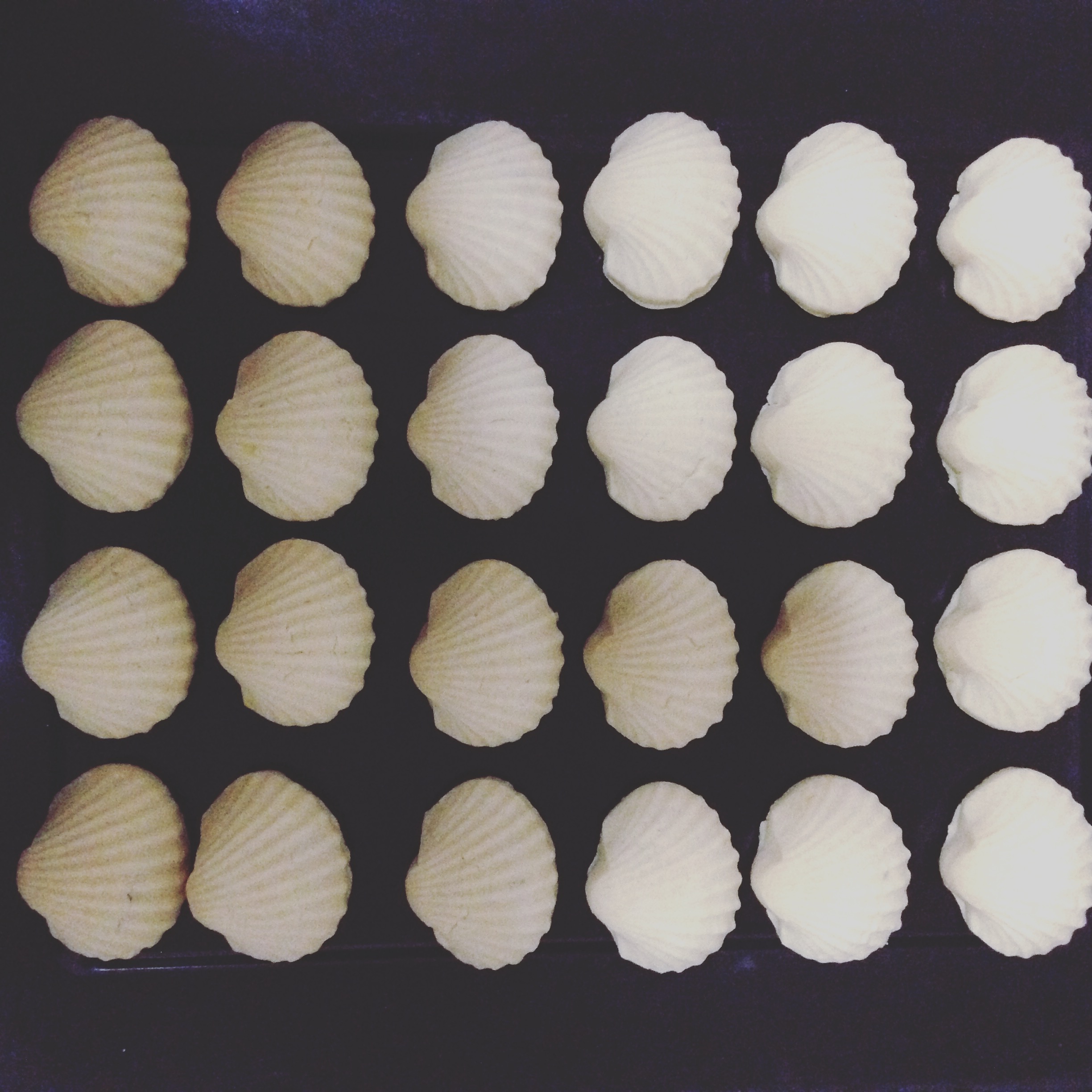 ✨คุ้กกี้มะม่วงมหาชนก (กระปุกใหญ่ L) ✨🥭🥭🥭🥭 Mahachanok Mango Cookies (Size L)