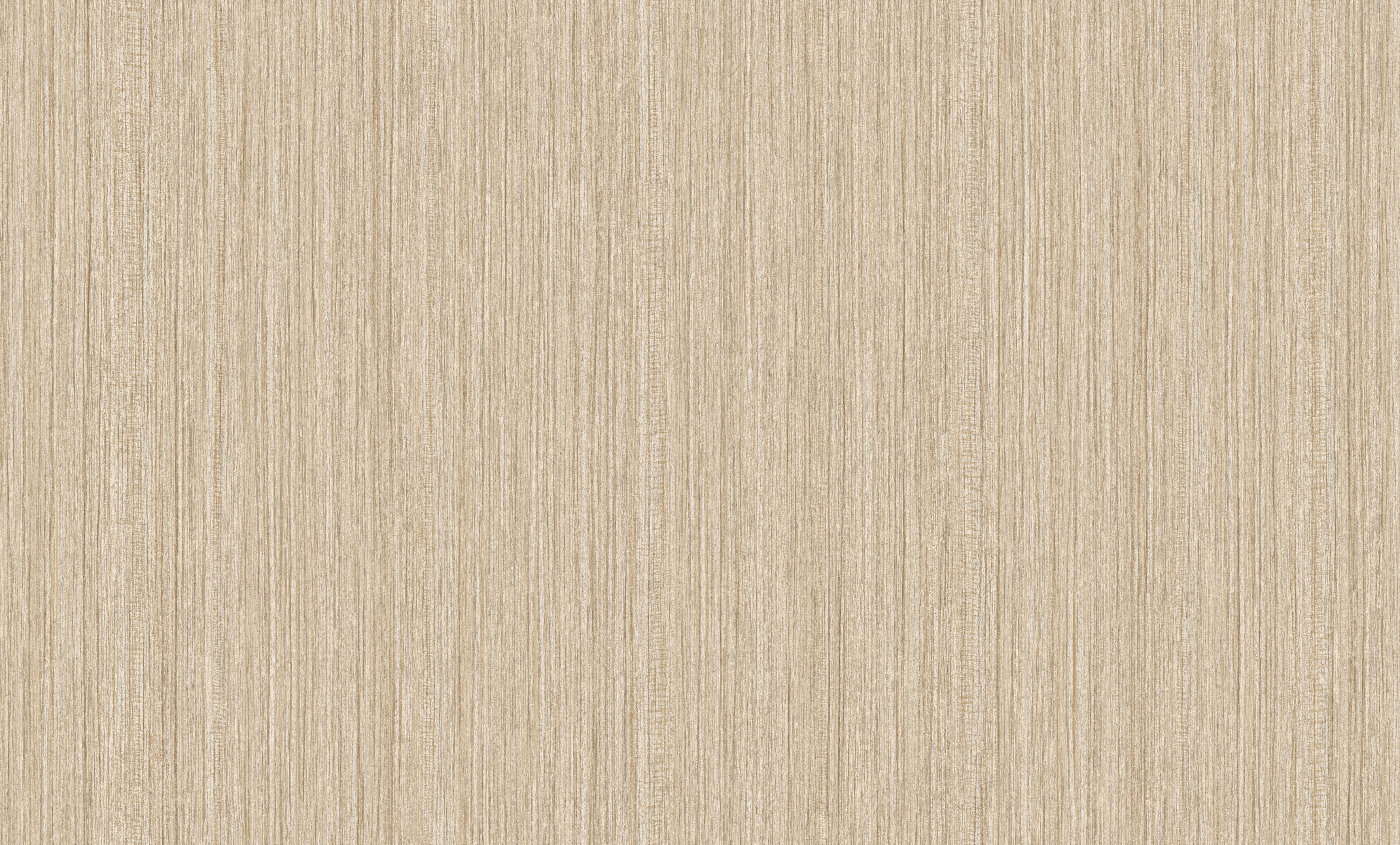 The View - BW Collection ลายมินิมอล