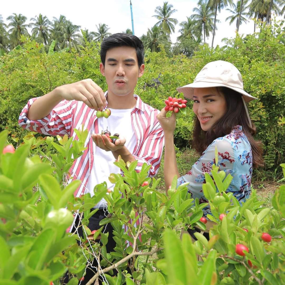 น้ำมะม่วงหาวมะนาวโห่ 100% สิริสมปอง Karanda juice สวนมะนาวโห่ลุงศิริ & สูตร ไซเดอร์ cider