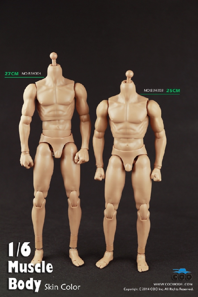 COOMODEL B34003 Muscle male Body