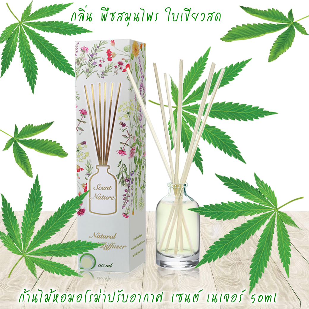 CANNABIZ สมุนไพรกัญช์