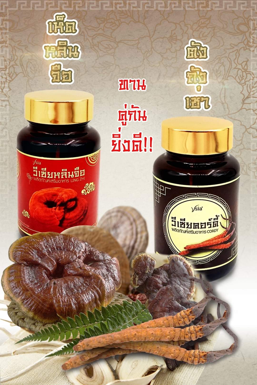 วีเซีย หลงลี่ รวมสารสกัดสุดยอดสมุนไพรจักรพรรดิ เพื่อสุขภาพของคุณ visia (ได้3กระปุก)