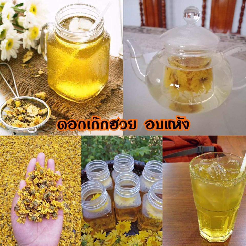 เก๊กฮวยแท้ 100% ต้ม 3 นาที ได้ชาเก็กฮวยหอมๆ ดอกเก็กฮวยอบแห้ง ดอกเก๊กฮวย ดอกเก็กฮวยแห้ง เก็กฮวย