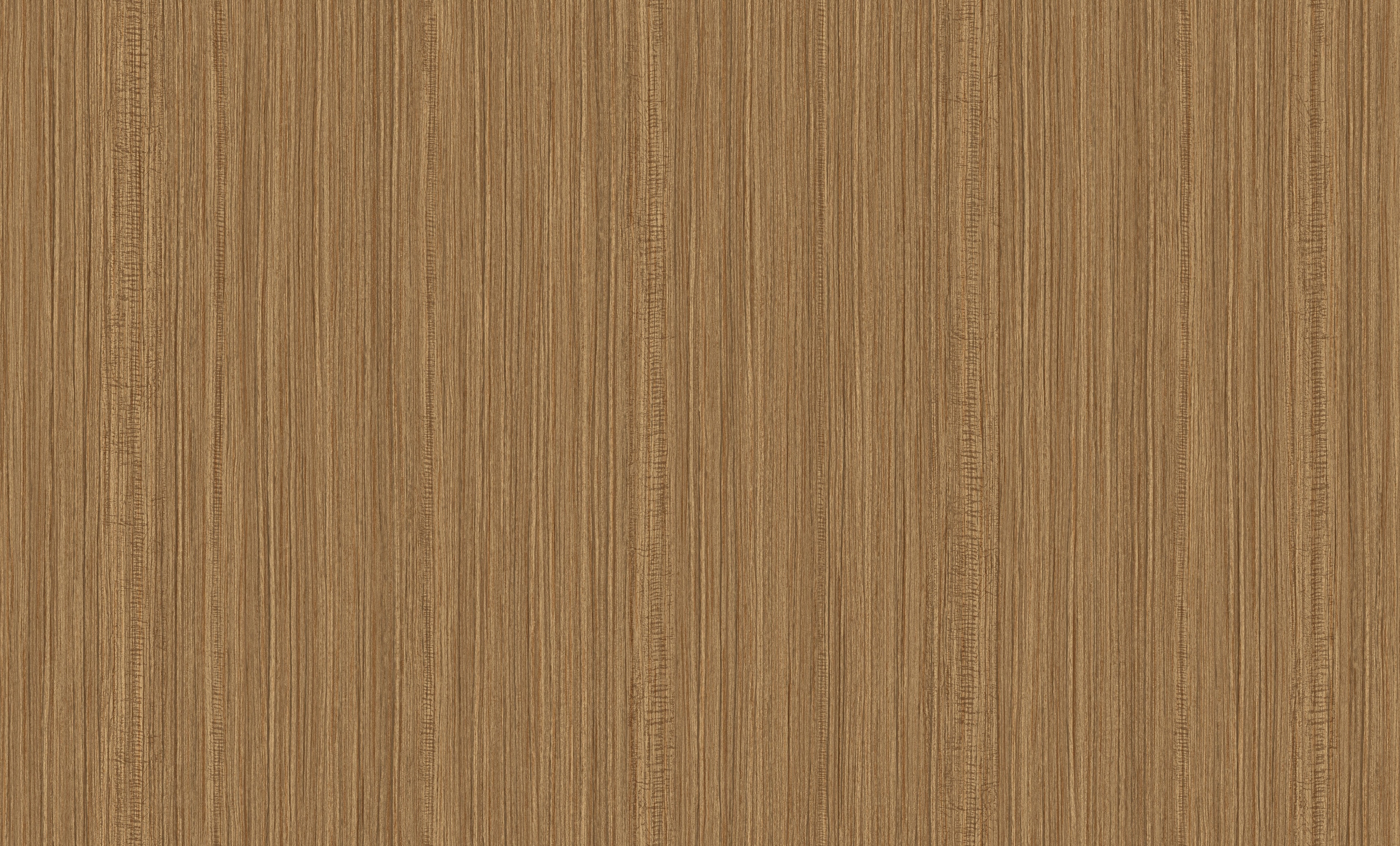 The View - BW Collection ลายมินิมอล