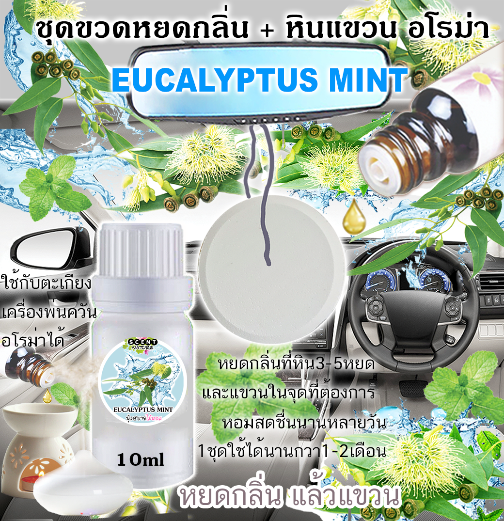 หินแขวน + ขวดหยด 10ml EUCALYPTUS MINT