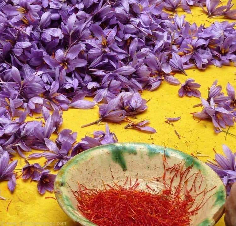 (1หัว) หญ้าฝรั่น หญ้า ฝรั่น ( ฝะหรั่น ) หรือเรียกว่า Saffron Crocus / ศรัณย์รักษ์