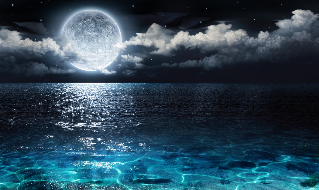 วอลเปปอร์ภาพพิมพ์ Digital Printing Wall Paper