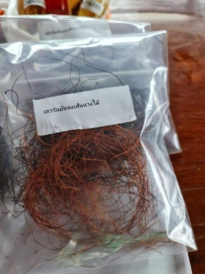 เครือเถาหลง หรือ เครือเขาหลง เครือสาวหลง เส้นผมนางไม้
