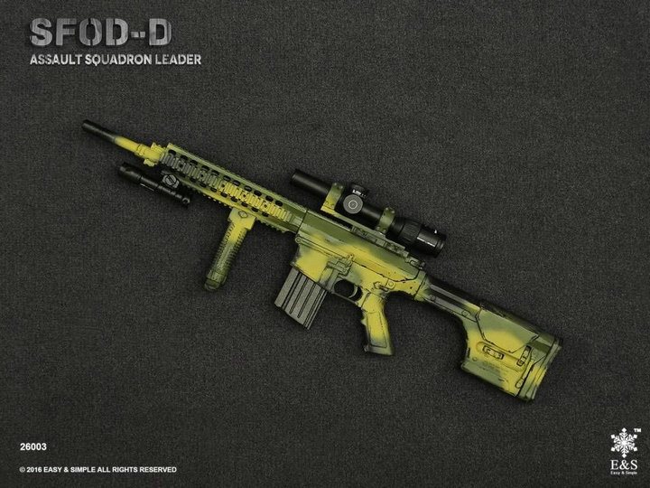 Easy & Simple 26003 SFOD-D Assault Squadron Leader