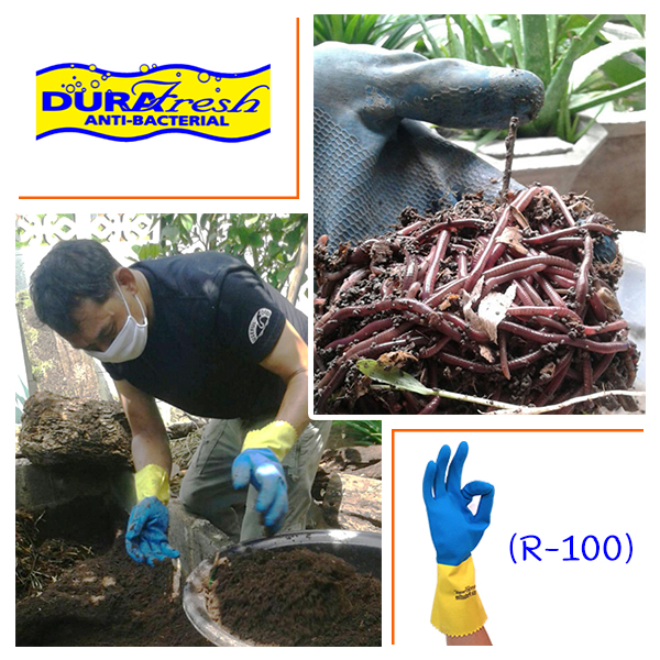 ถุงมือยาง ดูราเฟรช ชนิดเคลือบ 2 ชั้น