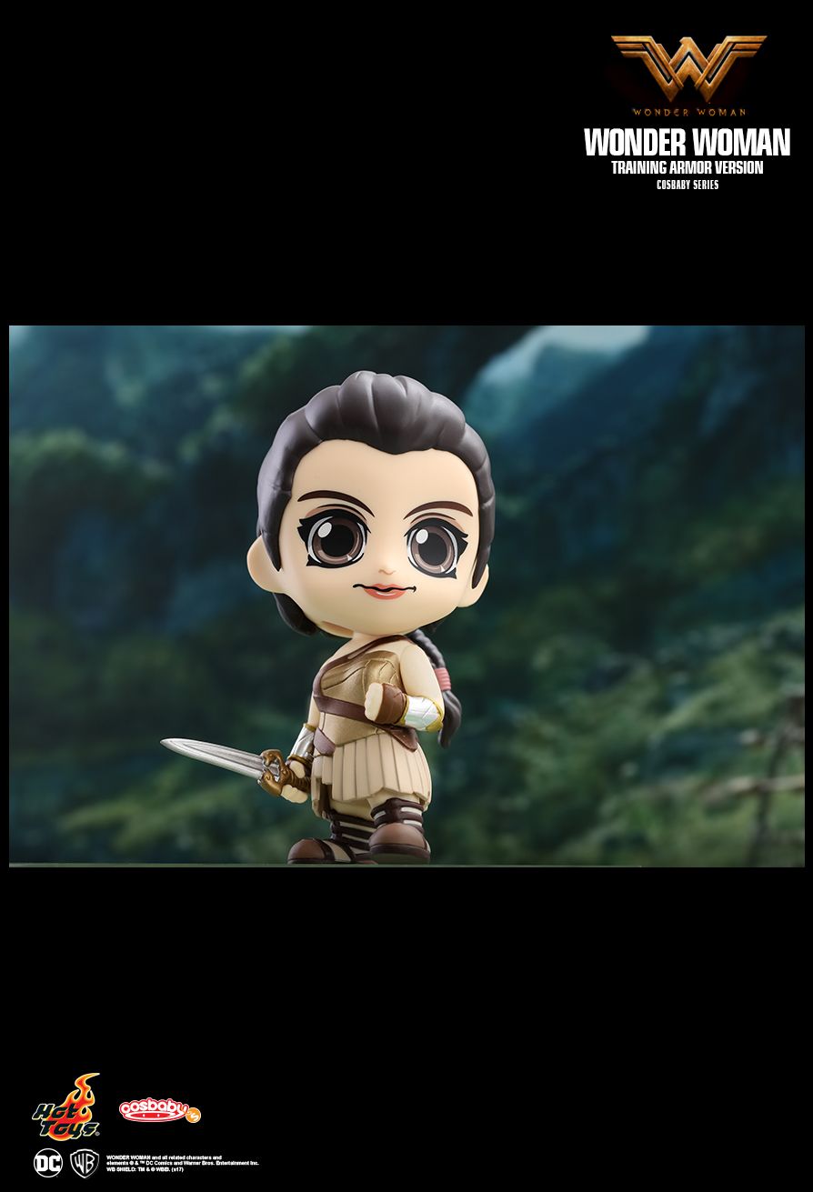 Hot Toys COSB419 WONDER WOMAN - WONDER WOMAN (TRAINING ARMOR VERSION)