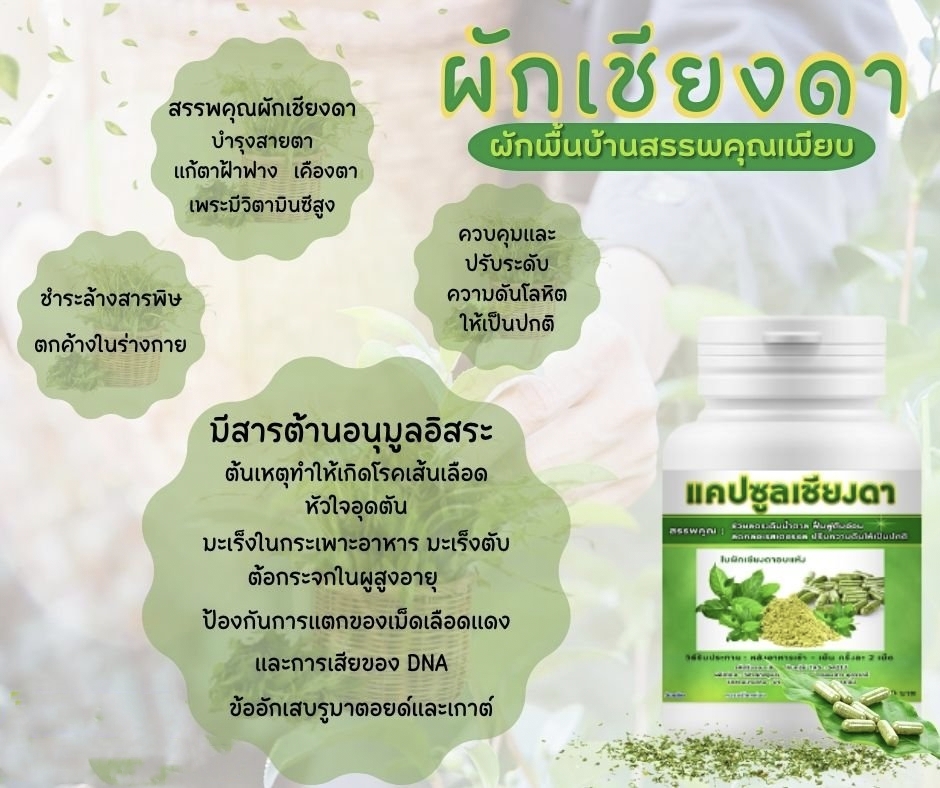 เครื่องดื่ม ชาผักเชียงดา ผักเชียงดา ชนิดผง และ แคปซูล ผสมเตยหอม ตรา รักษ์เฮิร์บ Rak Herb Gymnema mixed Pandanus Beverage powder Organic ออแกนิค