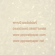 วอลล์เปเปอร์ติดผนังสไตล์โมเดิร์น
