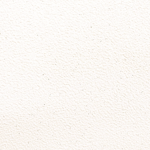 Bestie 2025 - BW Collection ลายมินิมอล